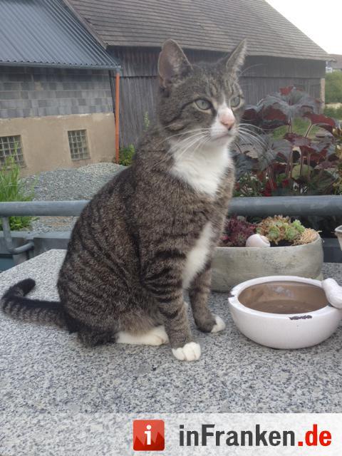 Foto: Wolfgang Bessert