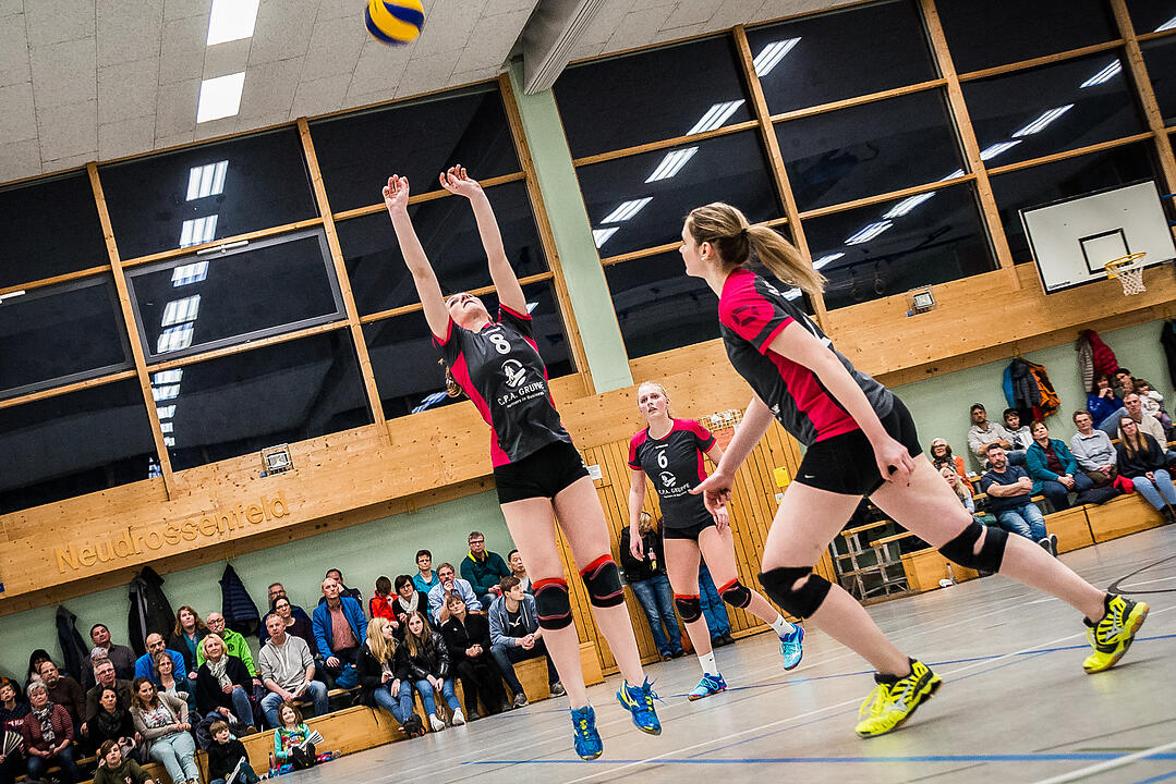 N.H. Young Volleys - TV Erlangen (3:2)