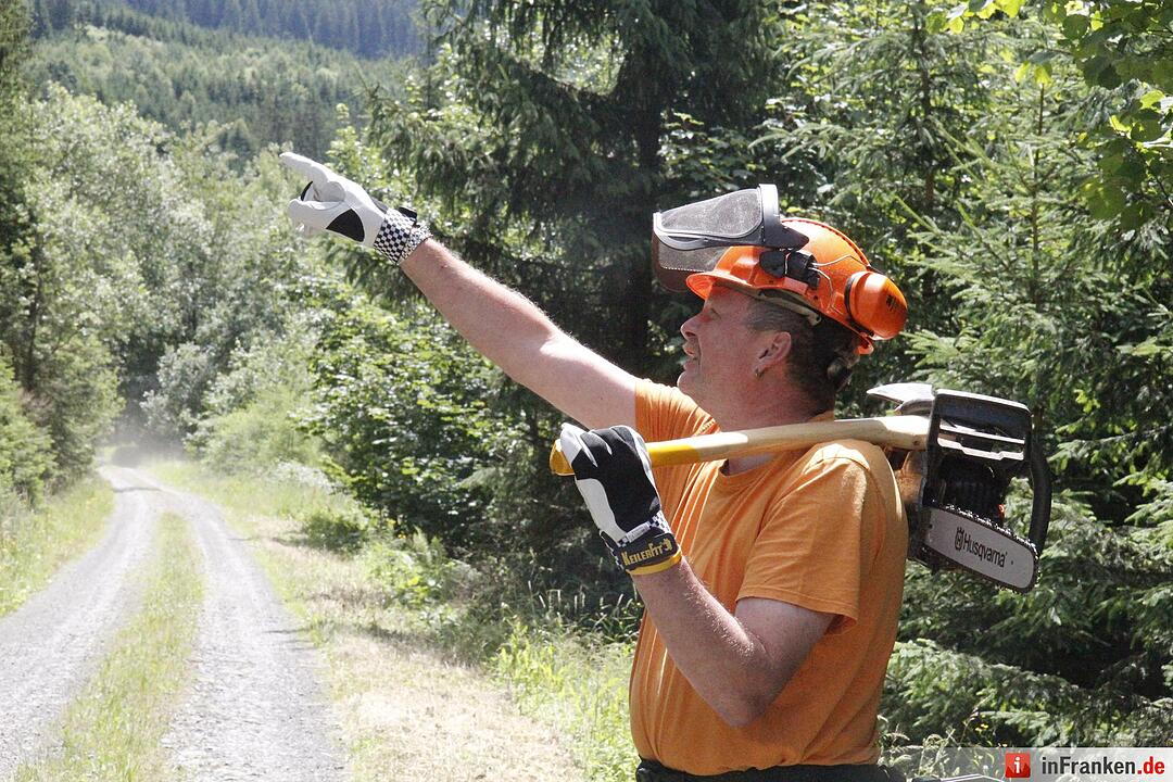 Voloprojekt: Baum fällt