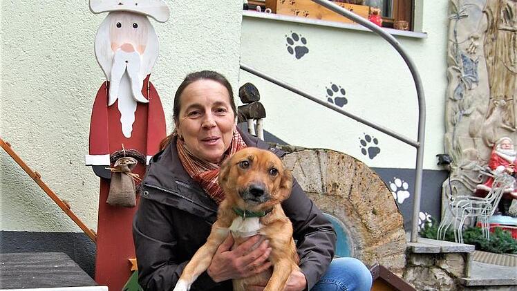 Nicht nur zur Weihnachtszeit: Ein liebevolles Zuhause für immer sucht Mischlingshund Archie, hier mit Interims-Frauchen Ursula Boehm, Leiterin des Kreistierheims Wannigsmühle. Foto: Sigismund von Dobschütz