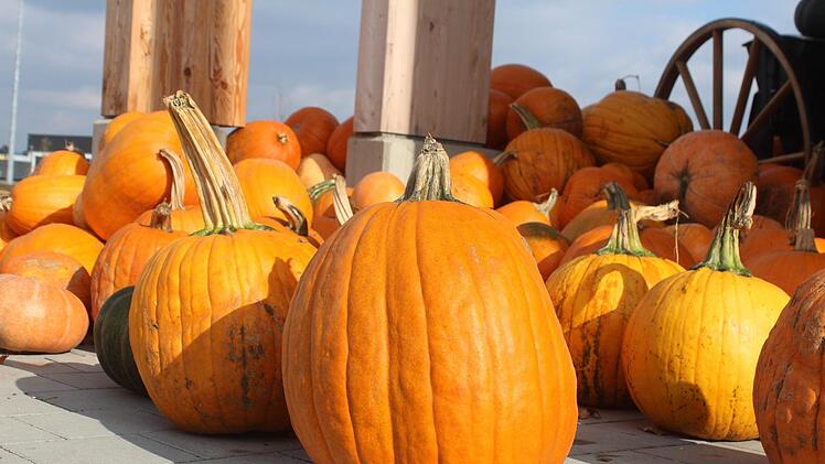 Der "Halloween-Kürbis" Foto: Ronald Heck