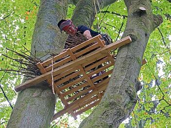 "Nicht einfach und nicht ungefährlich" war nach Angaben von Albert Schrenker die Befestigung der Plattform zwischen mehreren Buchenstämmen. Zum Glück ist Forstmeister Norbert Seitz (Bild) ein ausgebildeter Baumkletterer. Foto: Hans-Peter Schönecker