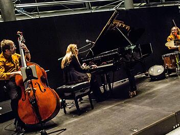 Das Hildegard Pohl Trio begeisterte das Coburger Publikum mit seinem Gastspiel beim "Verein".Foto: Jochen Berger