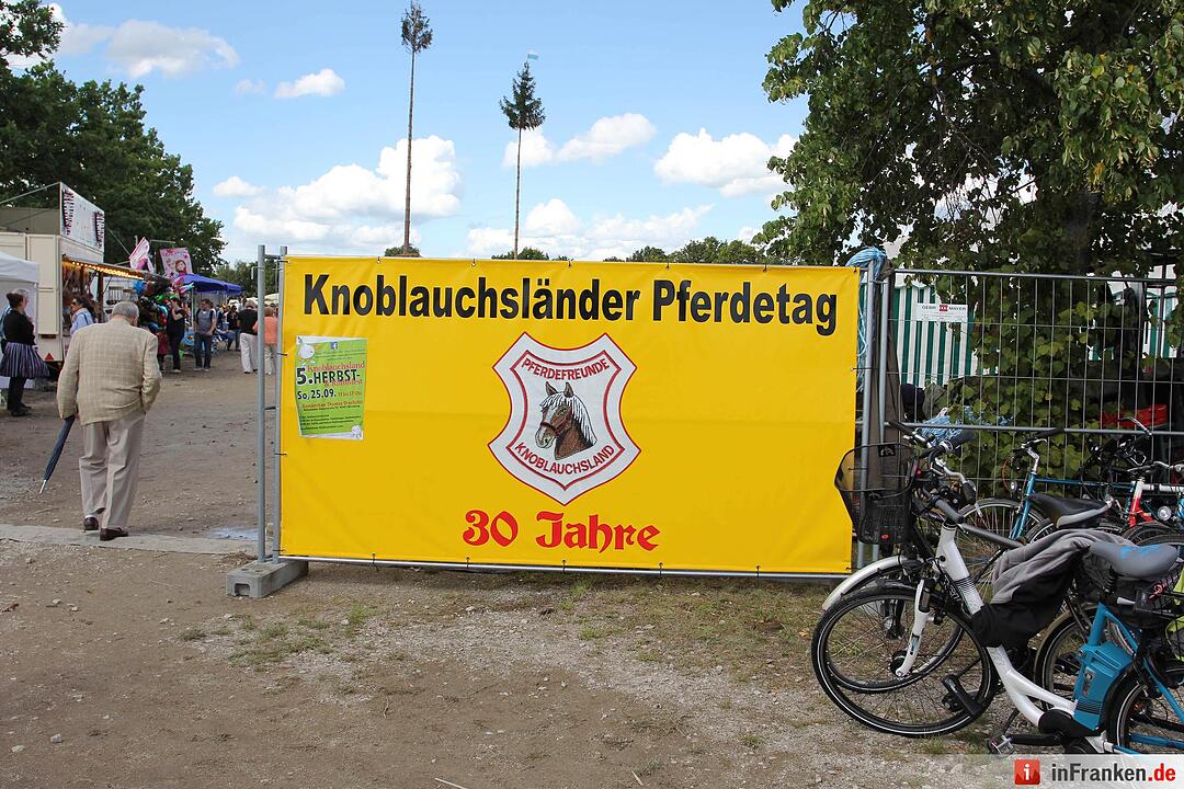 Pferdegespann in Nürnberg geht durch – Vier Verletzte