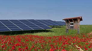 S&Uuml;DWERK - Nachhaltigkeit und Natur miteinander vereinen