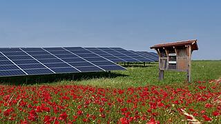 SÜDWERK - Nachhaltigkeit und Natur miteinander vereinen SÜDWERK - Nachhaltigkeit und Natur miteinander vereinen
