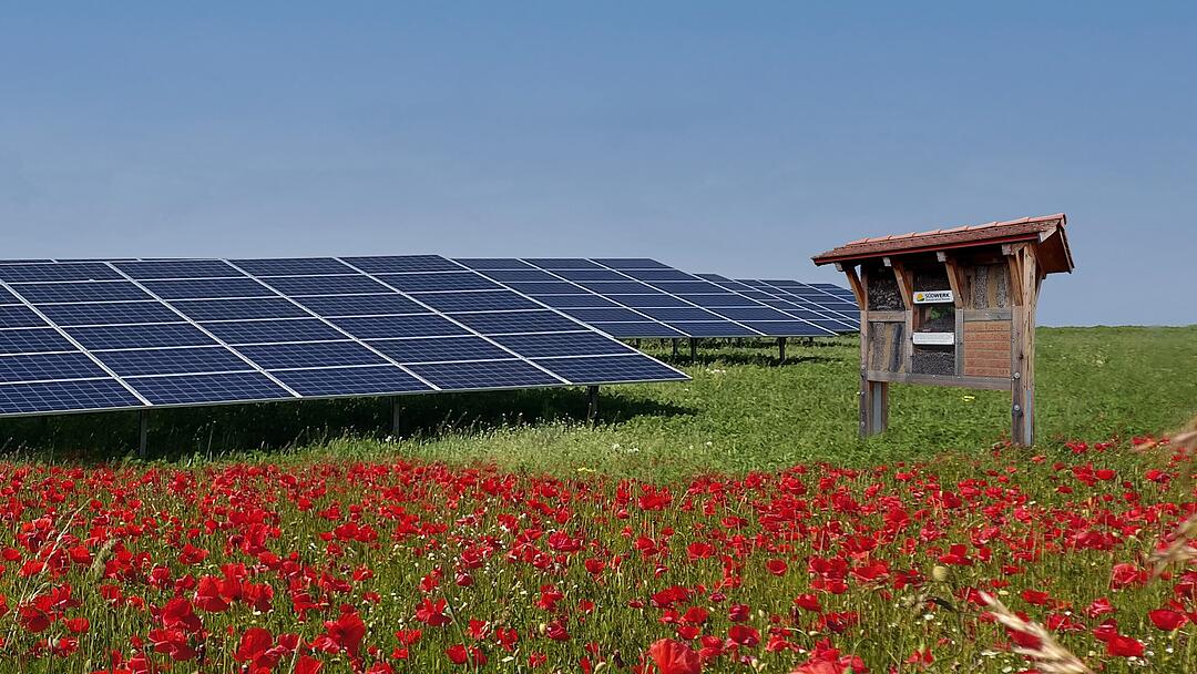 S&Uuml;DWERK - Nachhaltigkeit und Natur miteinander vereinen