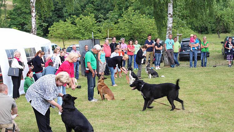 ...und wieder zum Herrchen kamen