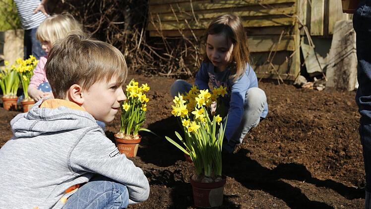 Blumen pflanzen mit den Garten- und Blumenfreunden Katschenreuth-Frankenberg Foto: Matthias Hoch
