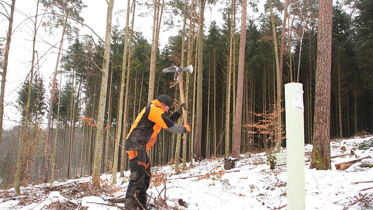 Der Pickel muss ran, um ein Pflanzloch in den harten Boden zu bringen. Foto: Heike Beudert