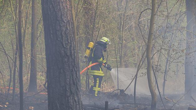 Zwischen Trosdorf und Weipelsdorf brannte am Donnerstagnachmittag der Wald.  Foto: Merzbach / News5