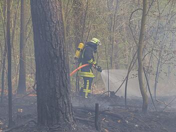Zwischen Trosdorf und Weipelsdorf brannte am Donnerstagnachmittag der Wald.  Foto: Merzbach / News5