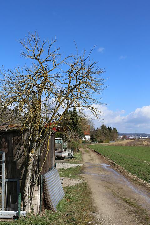 SoS Hausen im Landkreis Forchheim; Foto: Barbara Herbst