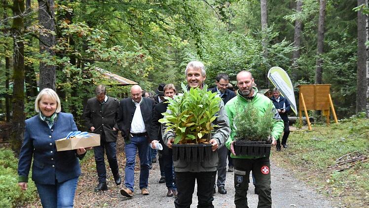 Zedern und Esskastanien werden zur Pflanzstelle getragen. Foto: Uschi Prawitz