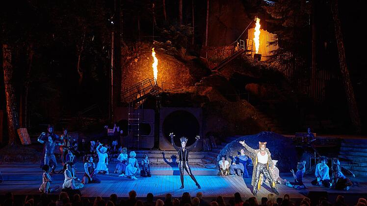 Fabio Boccalatte als Mr. Mistoffelees und Fabian-Joubert Gallmeister als Rum Tum Tugger Foto: © Marcel Kohnen