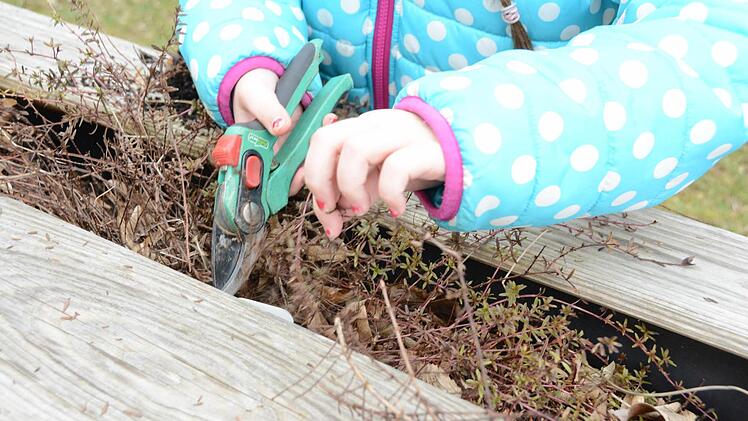 Erster Arbeitseinsatz im Melkendorfer Schulgarten: Die Grundschüler sind mit vollem Einsatz dabei! Foto: Dagmar Besand
