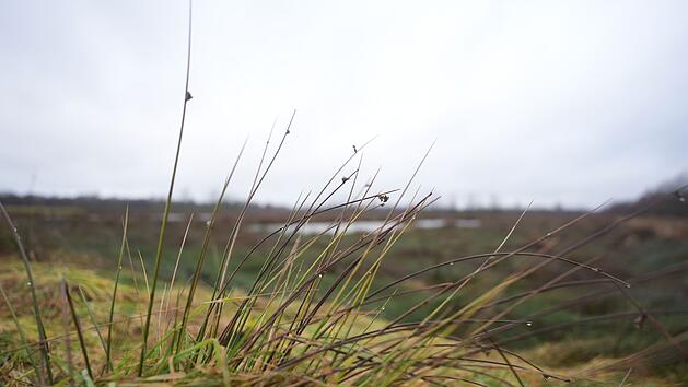 Vern&auml;ssungsprojekt Grotmoor