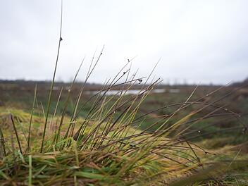 Vern&auml;ssungsprojekt Grotmoor