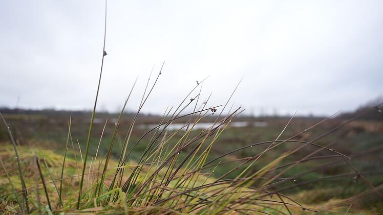 Vern&auml;ssungsprojekt Grotmoor