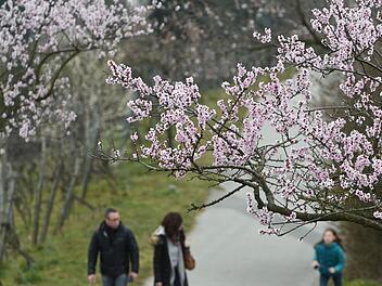 Foto: dpa