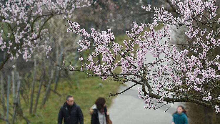 Foto: dpa