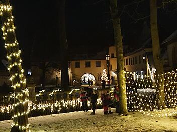Jeden Abend ab etwa 16.30 Uhr, wenn es dunkel wird, erstrahlt der Schlosspark in Adelsdorf im Lichterglanz.Johanna Blum