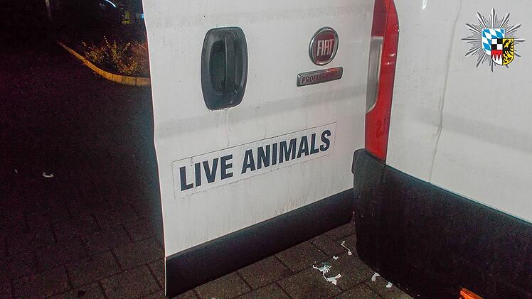 101 Hundewelpen: Polizei stoppt illegalen Tiertransport