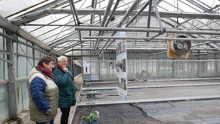 Auf Schautafeln erfuhren die Menschen mehr über die Geschichte der ehemaligen Gärtnerei. Foto:  Heike Beudert