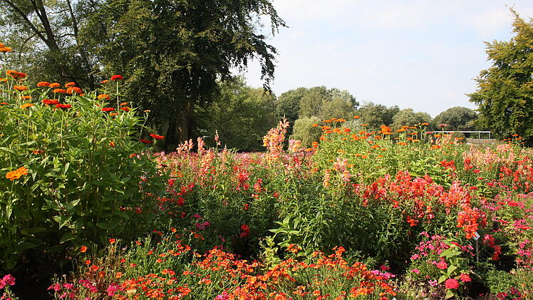 Landkreis Lichtenfels: Tagesfahrt zur Landesgartenschau 2023 angeboten - Infos und Anmeldung