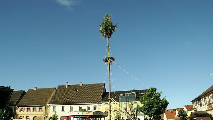 Der Kirchweihbaum steht. Renate Neubecker