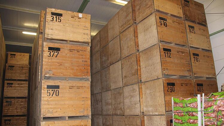 Das auf vier Grad Celsius heruntergekühlte Lager mit den Kartoffelkisten