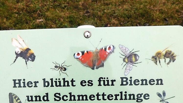 Im kirchlichen Umfeld wird einiges für die Umwelt getan.