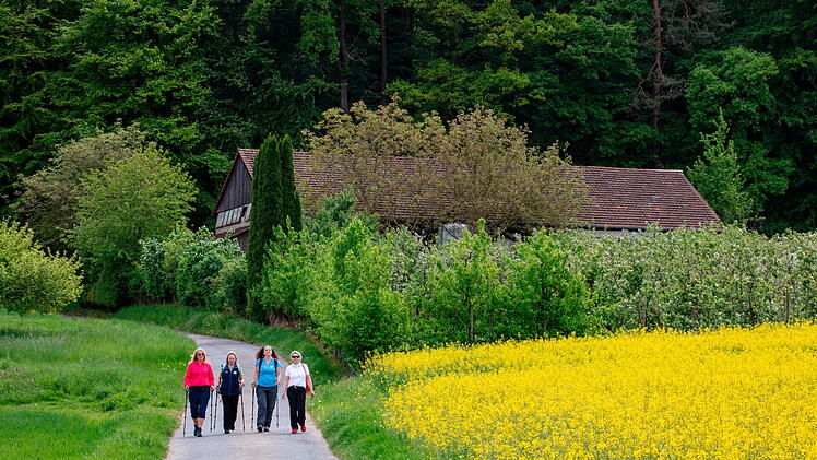 Die hier beschriebenen Wanderungen sind familienfreundliche Rund-Touren.