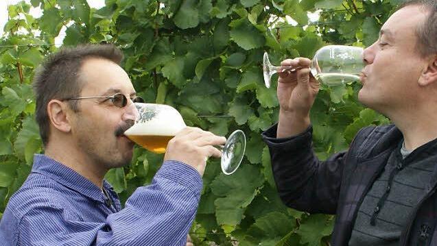 Der Winzer trinkt Bier und der Brauer den Wein: Auf ein Gelingen ihres Projekts "Bier-Wein-Hybrid" stoßen Udo Vogt (links) und Helmut Bayer (rechts) im Weinberg in Oberschwappach an.  Fotos: Sabine Weinbeer
