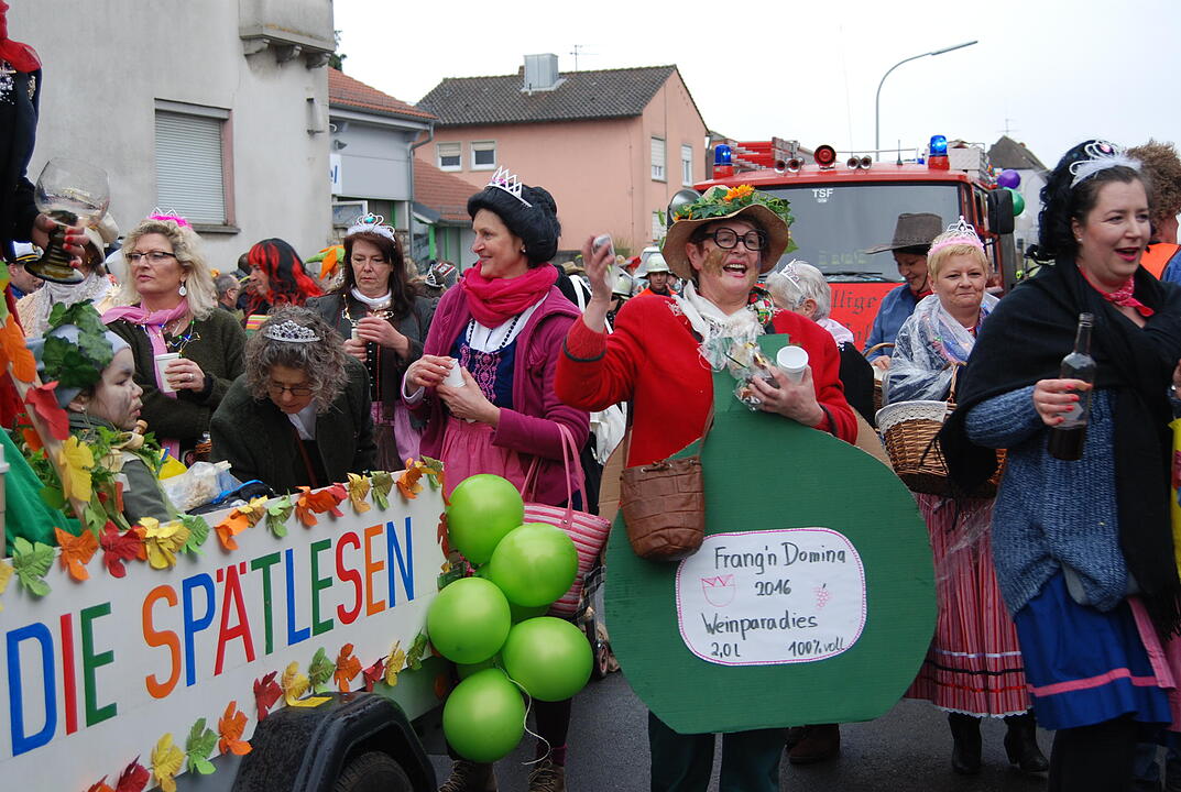 Landkreisfaschingsumzug