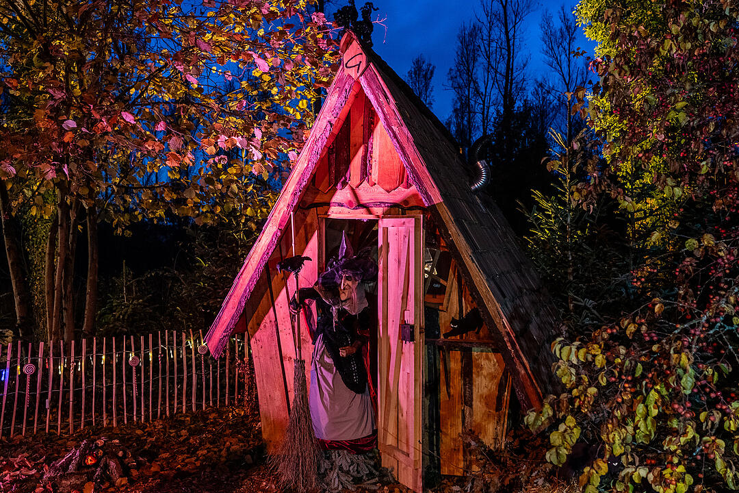 Winterszeit - Magische und zauberhafte Atmosphäre! Winterszeit - Magische und zauberhafte Atmosphäre!