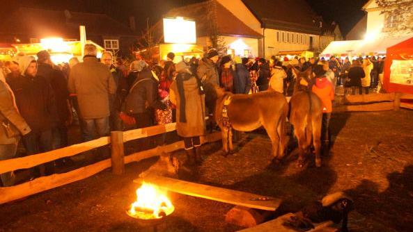 Weihnachtsmarkt mit Eseln in Memmelsdorf Alle Fotos: Joseph Beck