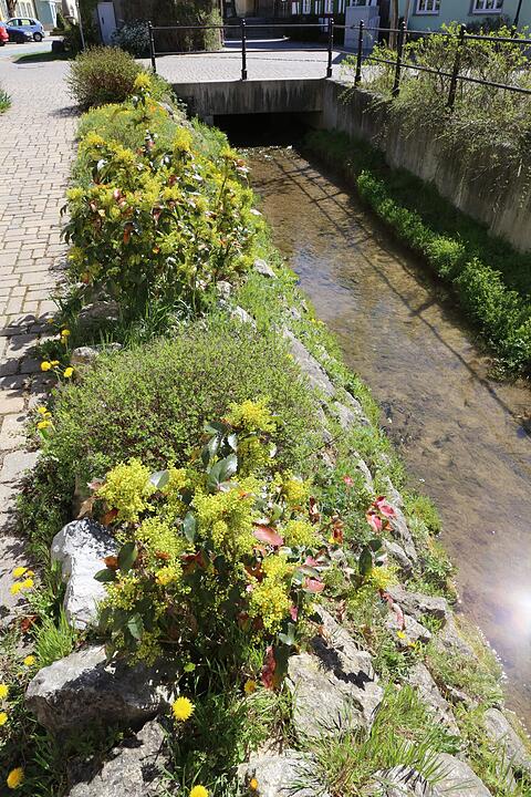 Kleukheim; Lkr. Lichtenfels; Foto: Barbara Herbst