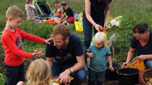 Gro&szlig; und Klein halfen im Selbsterntegarten in der S&uuml;dflur bei der Kartoffellese. Foto: Andrea Sp&ouml;rlein