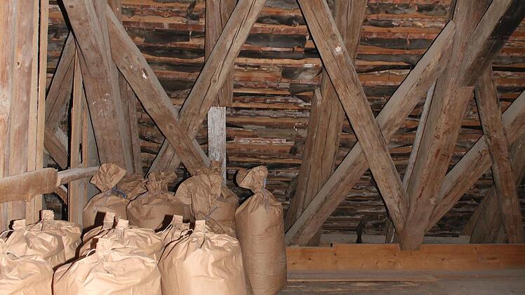 Die Dachkonstruktion der M&uuml;hle ben&ouml;tigt eine Ert&uuml;chtigung. Foto: Sonny Adam