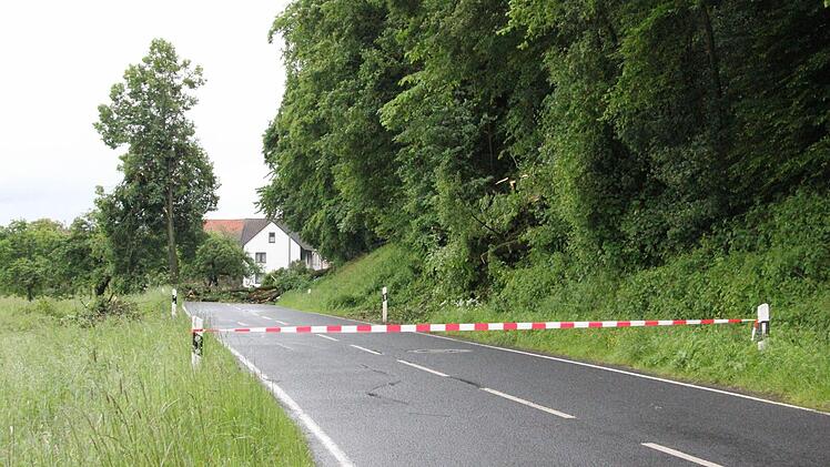 Die Zufahrt nach Dippach war am Freitag (31. Mai) gesperrt. Die Stadt Eltmann beobachtet die Lage weiter, da weitere Bäume nachzustürzen drohen.