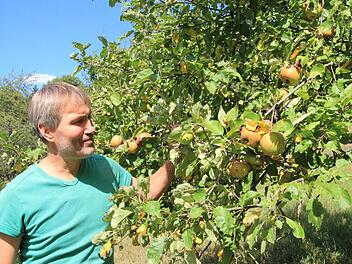 Michael Stromer schaut einen Baum auf der Streuobstwiese an. Der Ertrag werde in diesem Jahr hier durchschnittlich ausfallen, meint er.