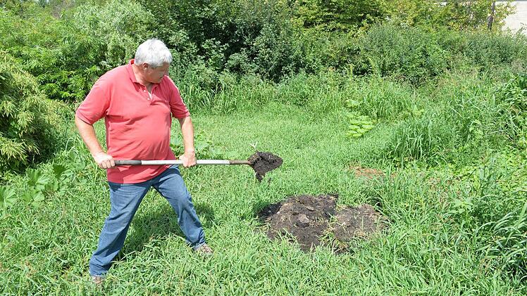 Die Beimischung von Holzkohle ergibt die fruchtbare Terra Preta. Foto: Ronald Rinklef