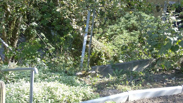 Im Garten der Familie Trautner in Gräfenberg. Foto: Petra Malbrich