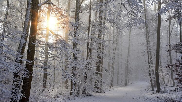 Schnee