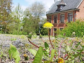 Alles neu macht der Beschluss im Mai: Auf der geschotterten Fläche oberhalb des Weitramsdorfer Rathauses sollen 14 neue Parkplätze entstehen.