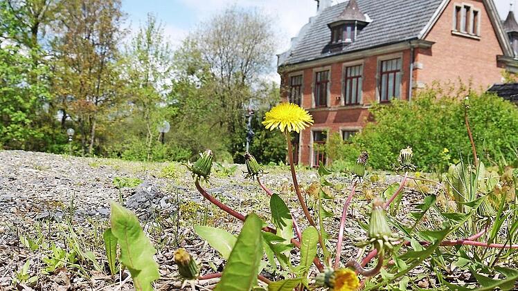 Alles neu macht der Beschluss im Mai: Auf der geschotterten Fläche oberhalb des Weitramsdorfer Rathauses sollen 14 neue Parkplätze entstehen.