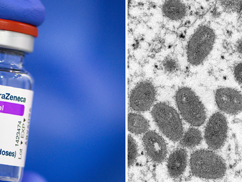 Affenpocken durch Astrazeneca? Irre Verschwörungstheorie kursiert im Netz