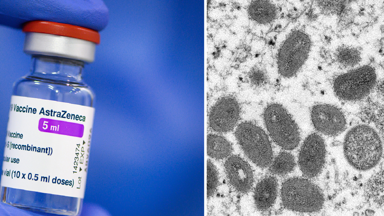 Affenpocken durch Astrazeneca? Irre Verschwörungstheorie kursiert im Netz