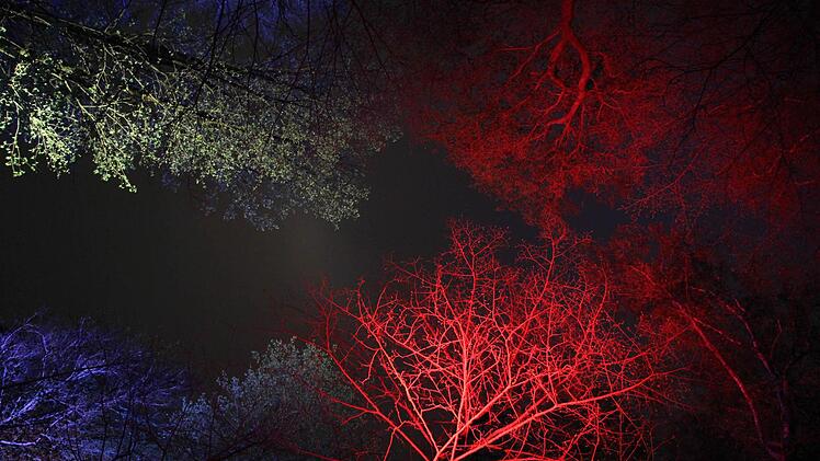 Der Forst leuchtet bei "Kronach leuchtet". Foto: Michael Gründel